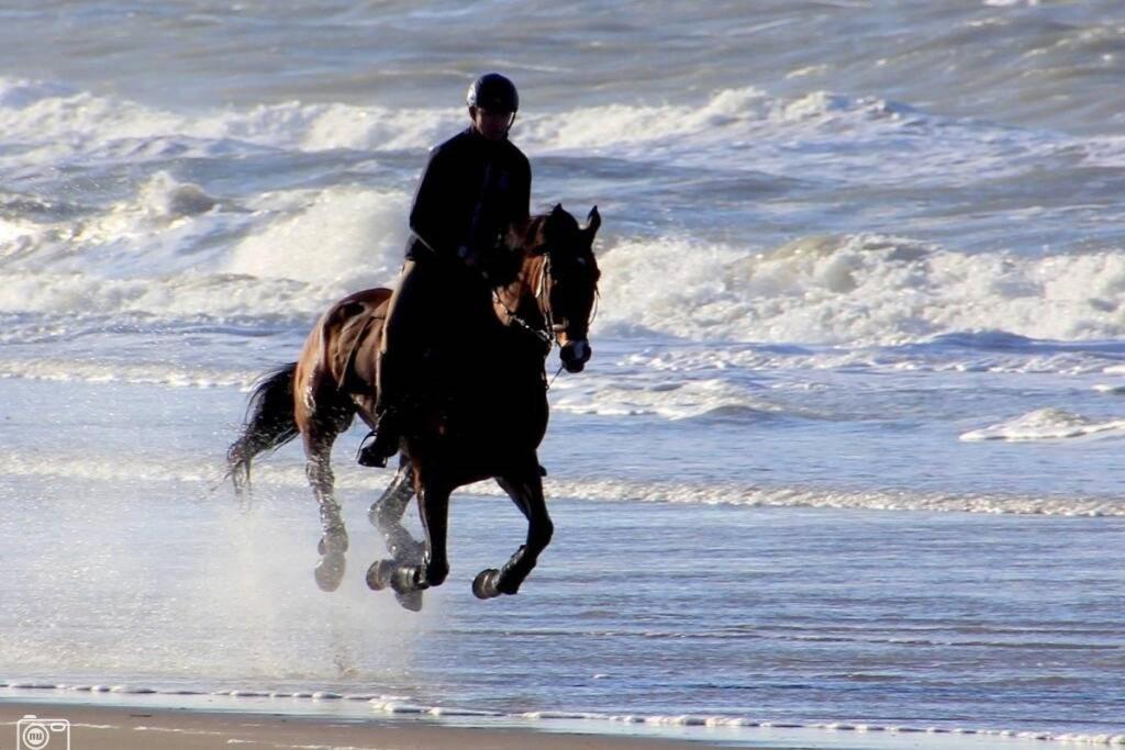 Beachtime Close To The Beach, City Centre Zandvoort Ngoại thất bức ảnh